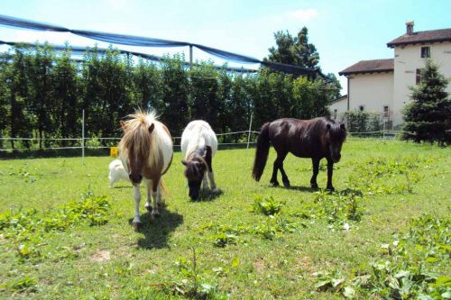 Cà del ferro Agriturismo Verona